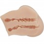 CRAZY BULL VAGINA Y ANO REALiSTICOS VIBRADOR LUNA