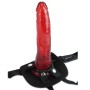 FETISH FANTASY SERIES ARNeS PARA PRINCIPIANTES