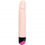 BAILE COLORFUL SEX VIBRACIoN Y ROTACIoN 24 CM
