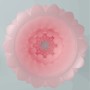 PRETTY LOVE ATHENA ALICE MASTURBADOR MASCULINO ROSA