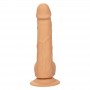 CALEXOTICS SILICONE STUDS 1524 CM SKIN