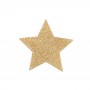 BIJOUX INDISCRETS PEZONERAS FLASH ESTRELLA DORADA