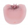 BAILE ANTHEA MAGIC FLESH VIBRATON PUSSY
