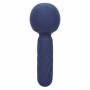 CALEXOTICS CHARISMA SEDUCTION MASAJEADOR 12 FUNCIONES 1775 CM X 625 CM MORADO