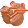 CRAZY BULL WENDY TRASERO FEMENINO REALISTA VIBRADOR SUCCIONADOR CON SONIDO 11 KG