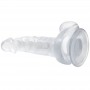 BAILE DILDO REALiSTICO CON VENTOSA Y TESTiCULOS 167 CM TRANSPARENTE