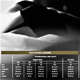 PENTHOUSE CATCH ME PANTIES BLANCO S M
