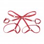 SUBBLIME 953706 ESPOSAS CON CINTURoN BONDAGE ROJO TALLA uNICA